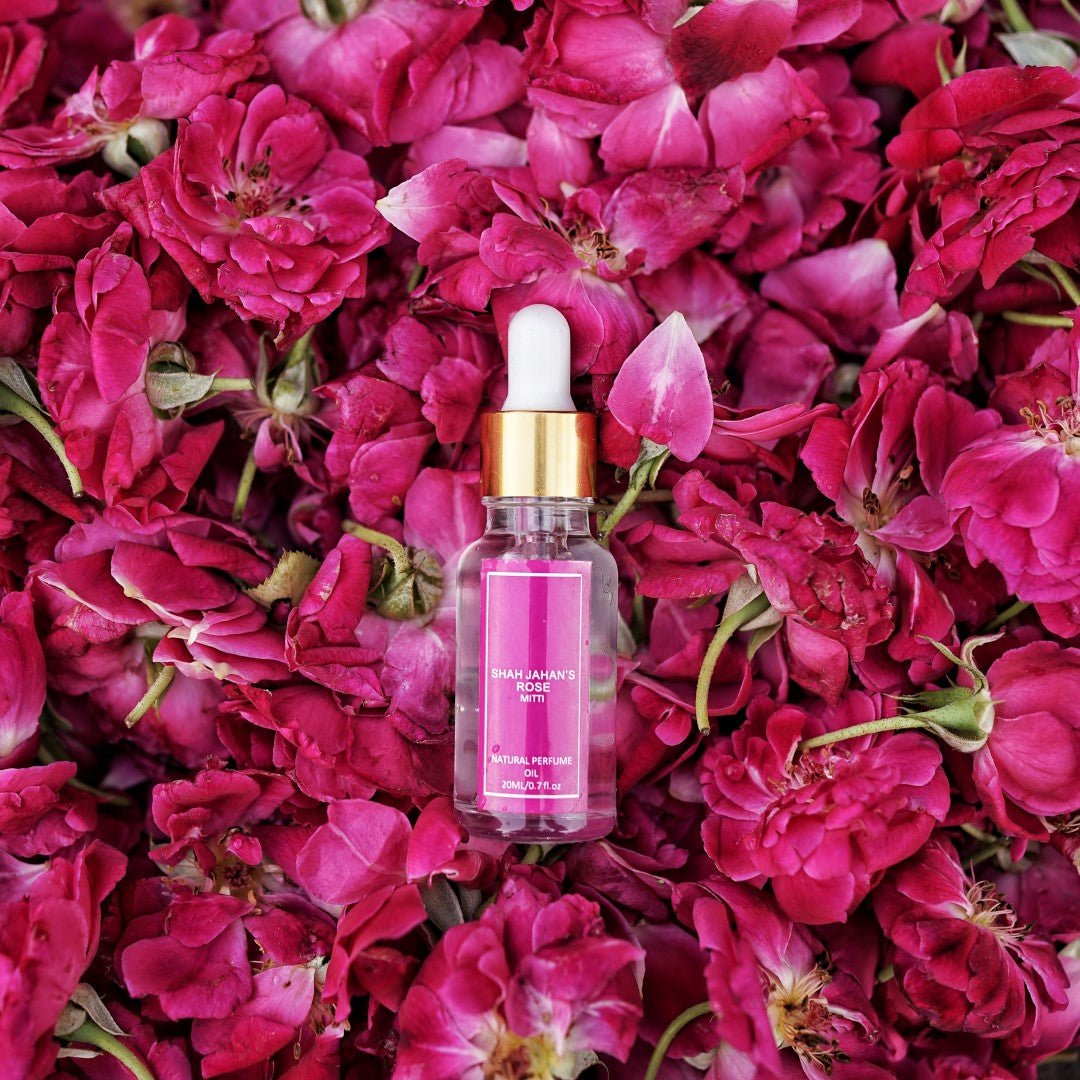Shah Jahan's Rose