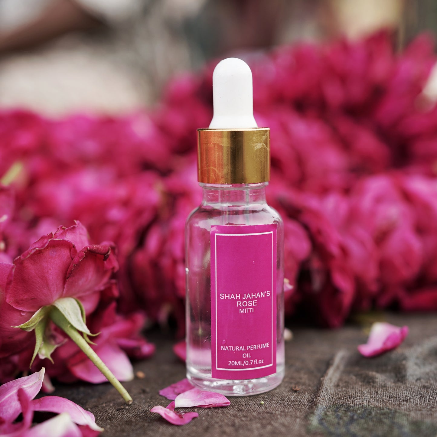 Shah Jahan's Rose